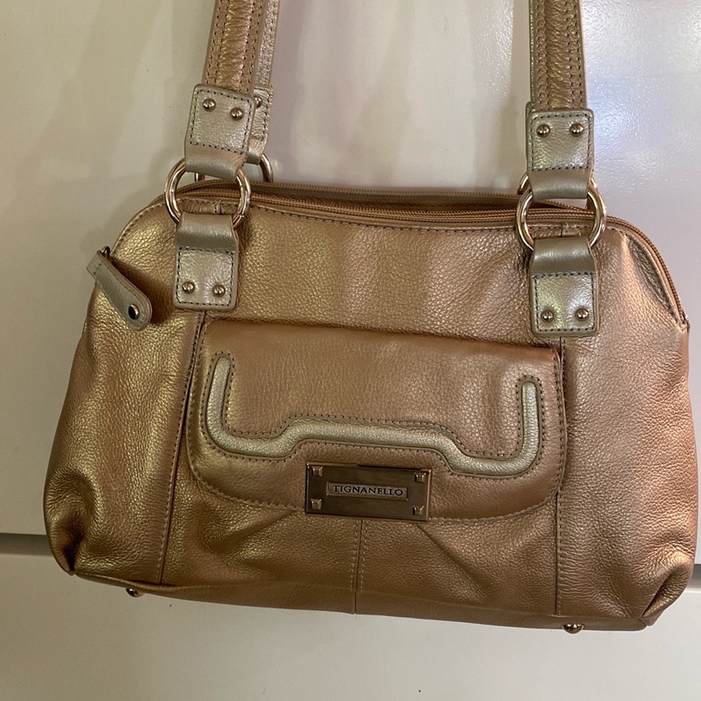 Tignanello Purse (Gold leather)